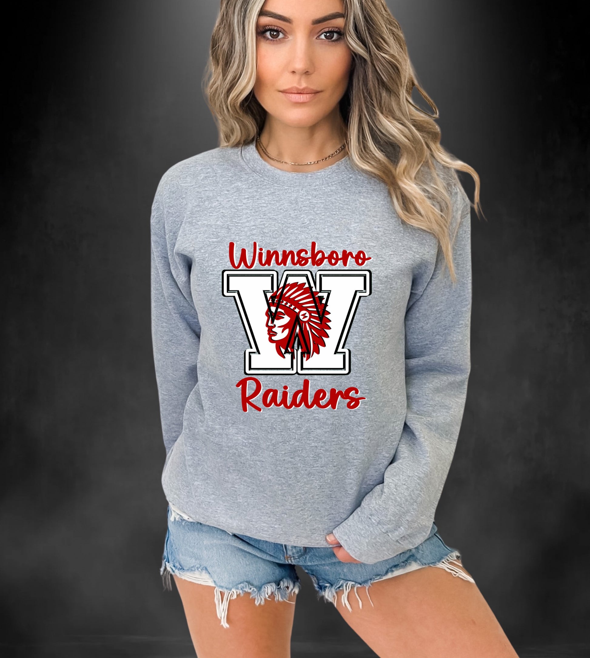 Winnsboro Raiders Head Sweatshirt - Follower Of Faith Apparel 3XL-Sport-Grey